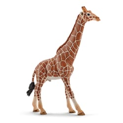 Schleich Wild Life Giraffe Male Toy Multicolored