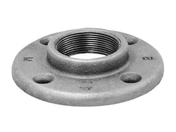 Anvil 2 in. FPT Black Malleable Iron Floor Flange