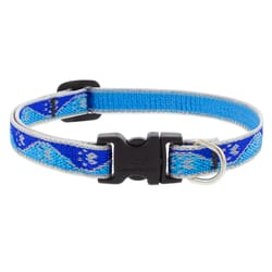 LupinePet Reflective Blue Paws Nylon Dog Adjustable Collar