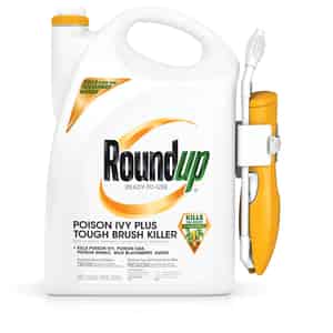 Roundup  RTU Liquid  Poison Ivy Plus Tough Brush Killer  1.33 gal. 