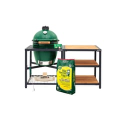 Big Green Egg 18.25 in. Large Charcoal Kamado Grill and Smoker Green