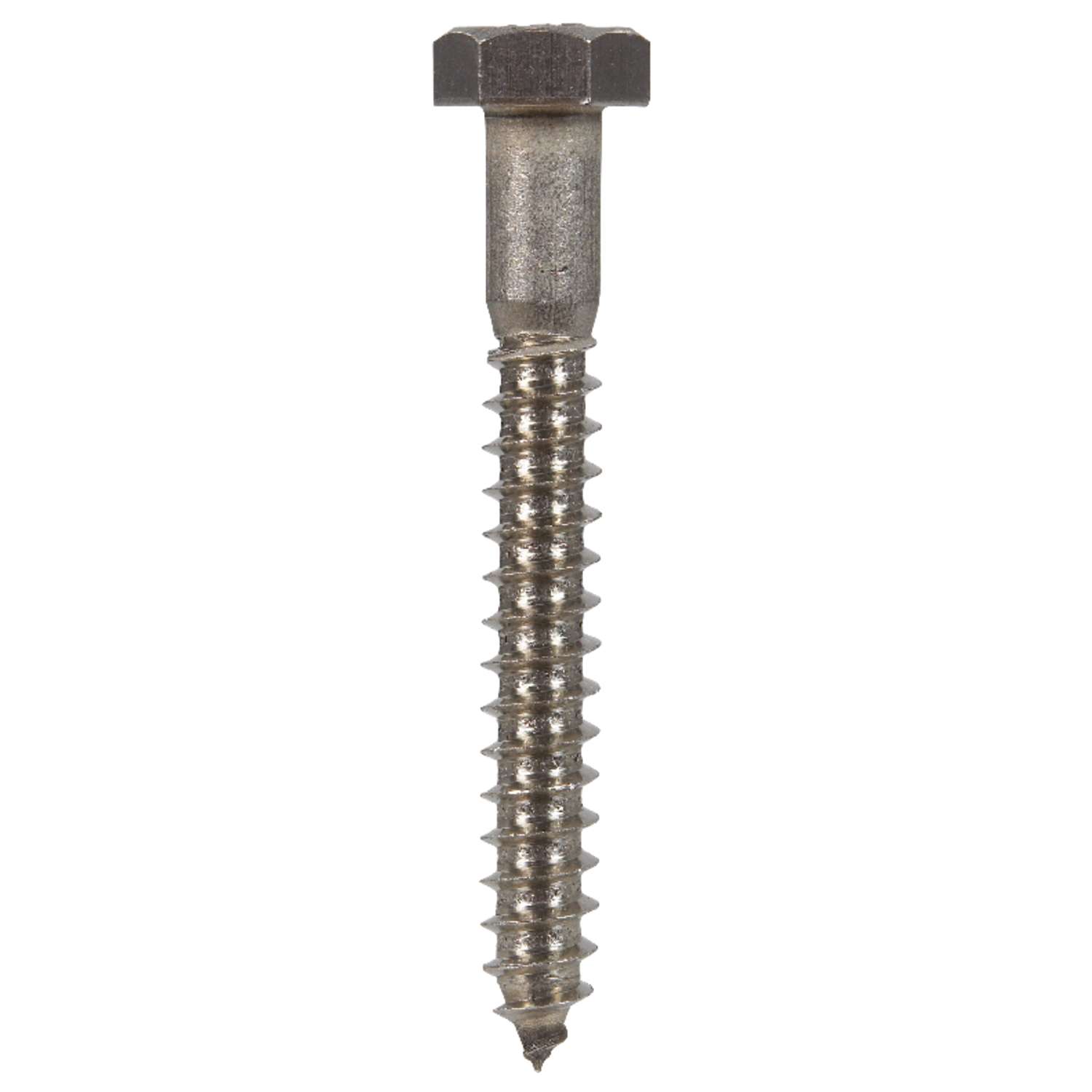 Hillman 5/16 in. X 2-1/2 in. L Hex Stainless Steel Lag Screw 25 pk - Ace  Hardware