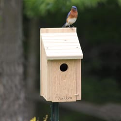 Woodlink Bird House Blubird Cedar and Wood