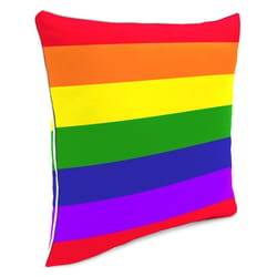 Jordan Manufacturing Multicolored Polyester Throw Pillow 4 in. H X 16 in. W X 16 in. L