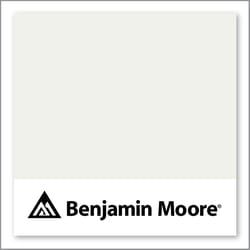 Benjamin Moore Oxford White 869