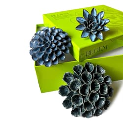 Chive Ceramic Flowers 2.9 in. H X 8.8 in. W X 9.9 in. L Glazed Blue Ceramic Bloem Box Set