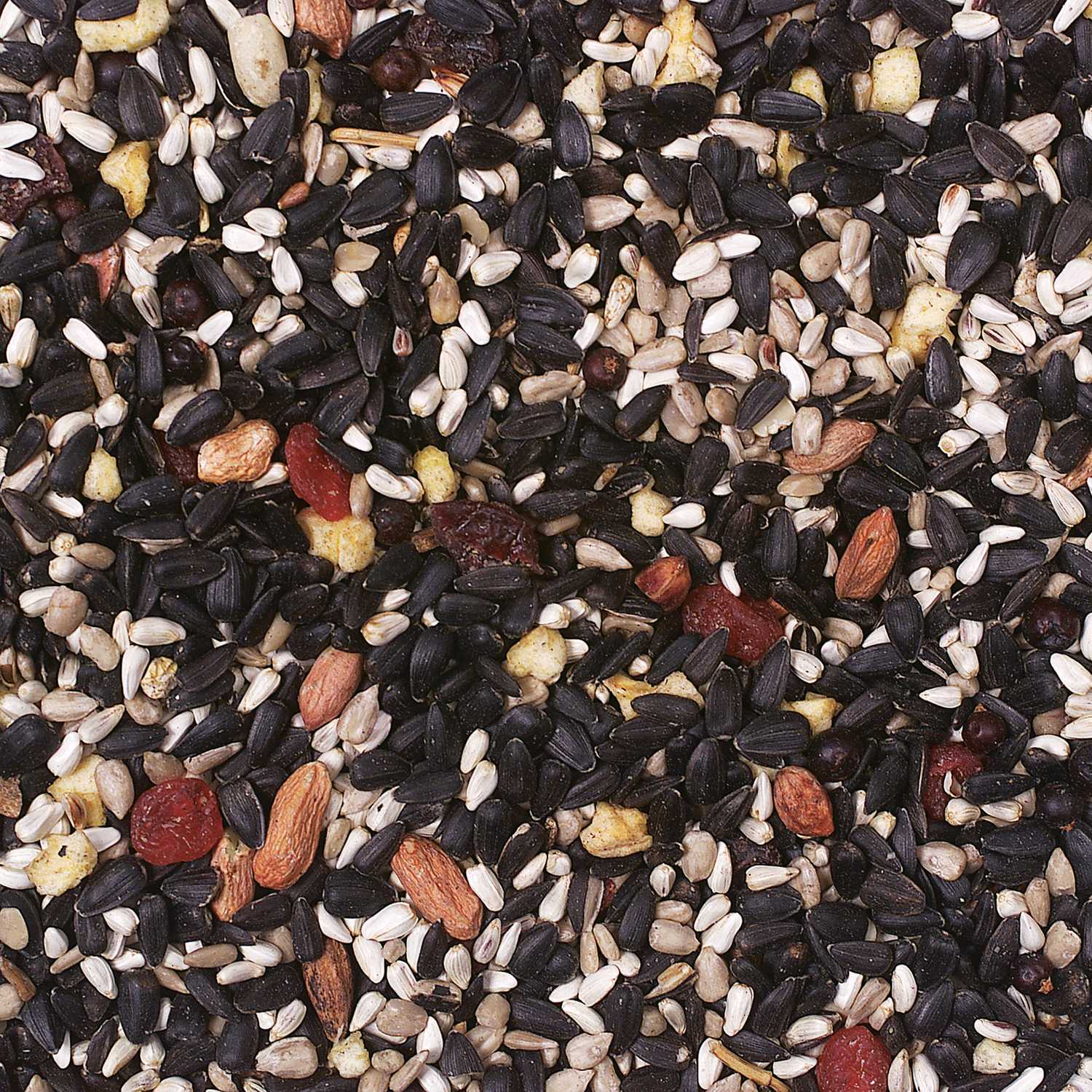 Wild Delight Fruit N Berry Assorted Species Wild Bird Food Sunflower