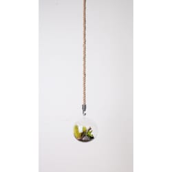 Primitive Planters Tan Jute 48 in. H Plant Hanger 1 pk