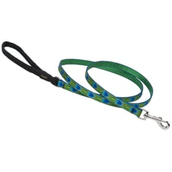 Lupine Pet Original Designs Multicolor Tail Feathers Nylon Dog Leash