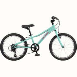 Retrospec Dart Unisex 20 in. D Bicycle Seafoam