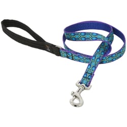 LupinePet Original Designs Multicolor Rain Song Nylon Dog Leash