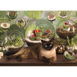 Cobble Hill Terrarium Cat Jigsaw Puzzle 1000 pc