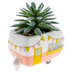 Karma 2 in. H X 2 in. W X 2 in. L Multicolored Ceramic Succulent Pot