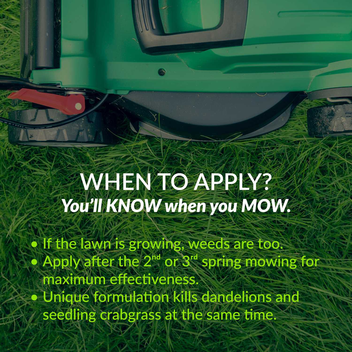 GreenView 2406 Weed & Feed and Crabgrass Preventer For Tall Fescue 18