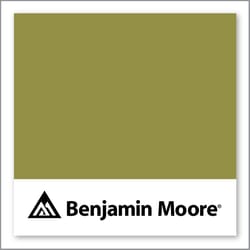 Benjamin Moore Olive Moss 2147-20