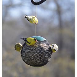Songbird Essentials Songbird 7 cups Metal Mesh Feeder Bird Feeder