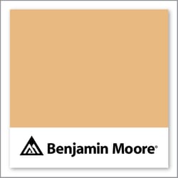Benjamin Moore Golden Mist 2158-40