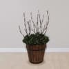 image-3