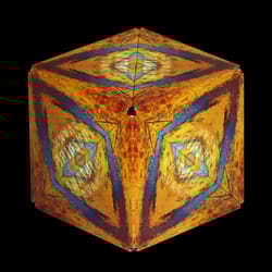 Shashibo Wild Series Savanna Magnetic Puzzle Cube Yellow 12 pc