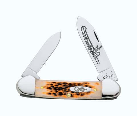  Case XX WR Pocket Knife Sod Buster Jr, Stainless Steel Blades,  Length Closed: 3 5/8 Inches, Made in USA (Amber Bone) : Tools & Home  Improvement