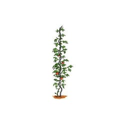 Bosmere 6 in. H Green Metal Plant Support