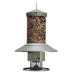 Wingscapes Wild Bird 1 gal Plastic Auto Feed Tube Bird Feeder 1 ports