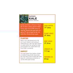Lake Valley Seed Vegetable Seeds