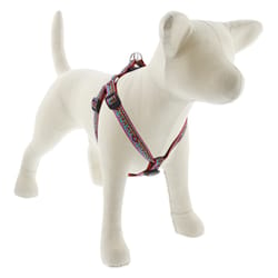 LupinePet Original Designs Multicolor El Paso Nylon Dog Harness