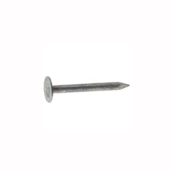 Grip-Rite No. 11 1-1/2 in. Roofing Electro-Galvanized Steel Nail Full Round Head 5 lb