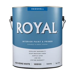 Royal Eggshell High Hiding White Water-Based Paint Interior 1 gal