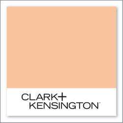 Clark+Kensington Orange You Sweet 12C-4