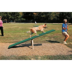 BarkPark Teeter Totter