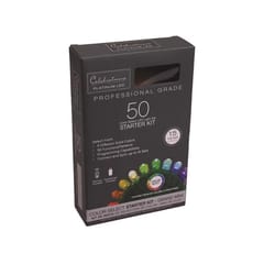 Celebrations Platinum LED Mini Multicolored 50 ct String Lights w/Remote Christmas Lights 25 ft.