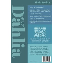 Chive Shido Seed Co. Duet Dahlia Seeds 1 pk