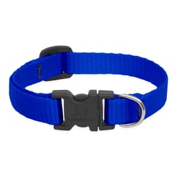 LupinePet Basic Solids Blue Blue Nylon Dog Adjustable Collar