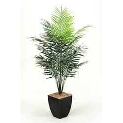 DW Silks 84 in. H X 38 in. L Polyester Dwarf Areca Palm Tree in Black Planter