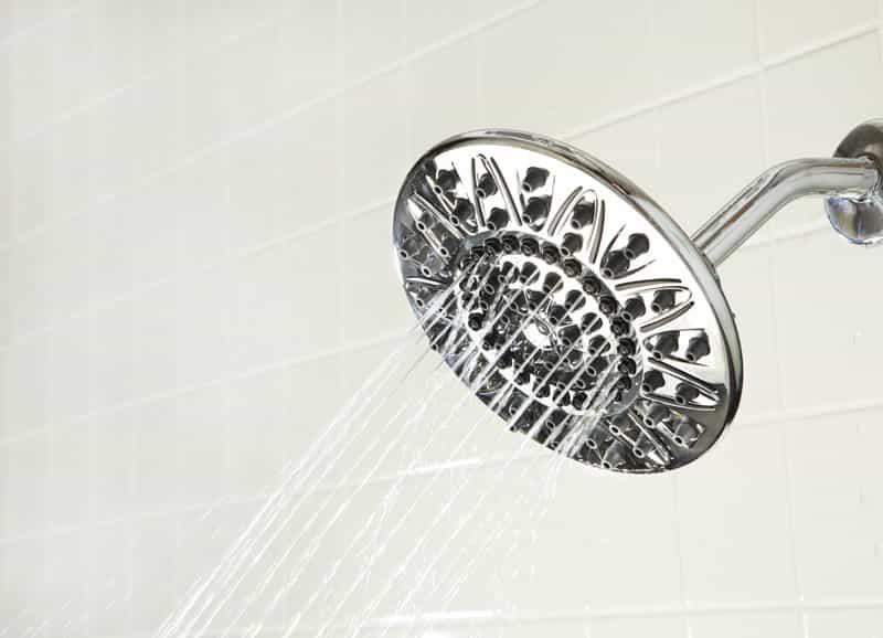 Waterpik EcoFlow Chrome 7 settings Showerhead 1.8 gpm Ace Hardware