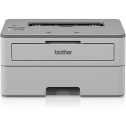 Brother LaserJet Printer 250 sheet 1 pk