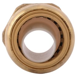 SharkBite Push to Connect 3/4 in. Push X 1 in. D Male Brass Adapter