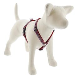 LupinePet Original Designs Multicolored El Paso Nylon Dog Harness