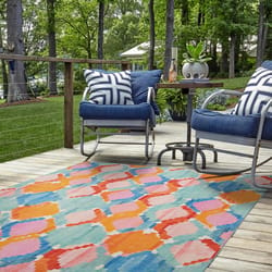 Linon Home Decor 5 ft. W X 7 ft. L Multi-Color Milosh Polyester Accent Rug