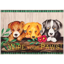 Olivia's Home 22 in. W X 32 in. L Multi-Color Wipe Your Paws Polyester Accent Rug