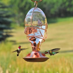 Perky-Pet Hummingbird 32 oz Glass Bird Feeder 4 ports