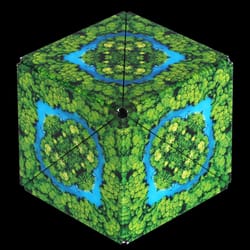 Shashibo Wild Series Jungle Magnetic Puzzle Cube Green 12 pc