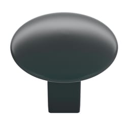 Amerock Riva Contemporary Oval Cabinet Knob 1-1/16 in. Matte 1 pk