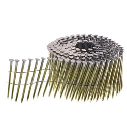 Senco 2.5 in. Siding Bright Stainless Steel Nail Full Round Head