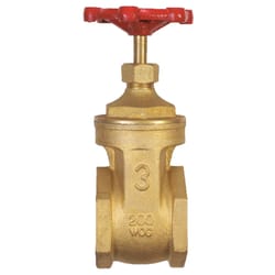 BK Products ProLine 3 in. FIP Brass Gate Valve