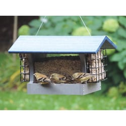 Birds Choice 3 lb Plastic Bird Feeder