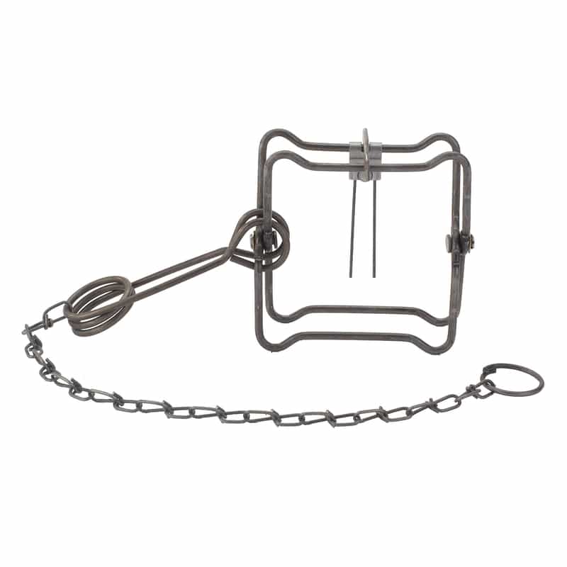 Duke 110 Small Kill Trap Animal Trap For Minks and Muskrats 1 pk Ace