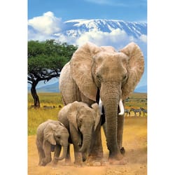 Eurographics Elephants Jigsaw Puzzle Multicolored 250 pc
